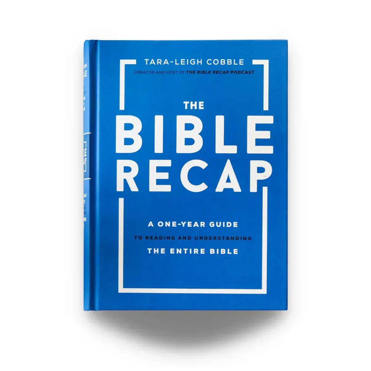 The Bible Recap Daily Book cover.