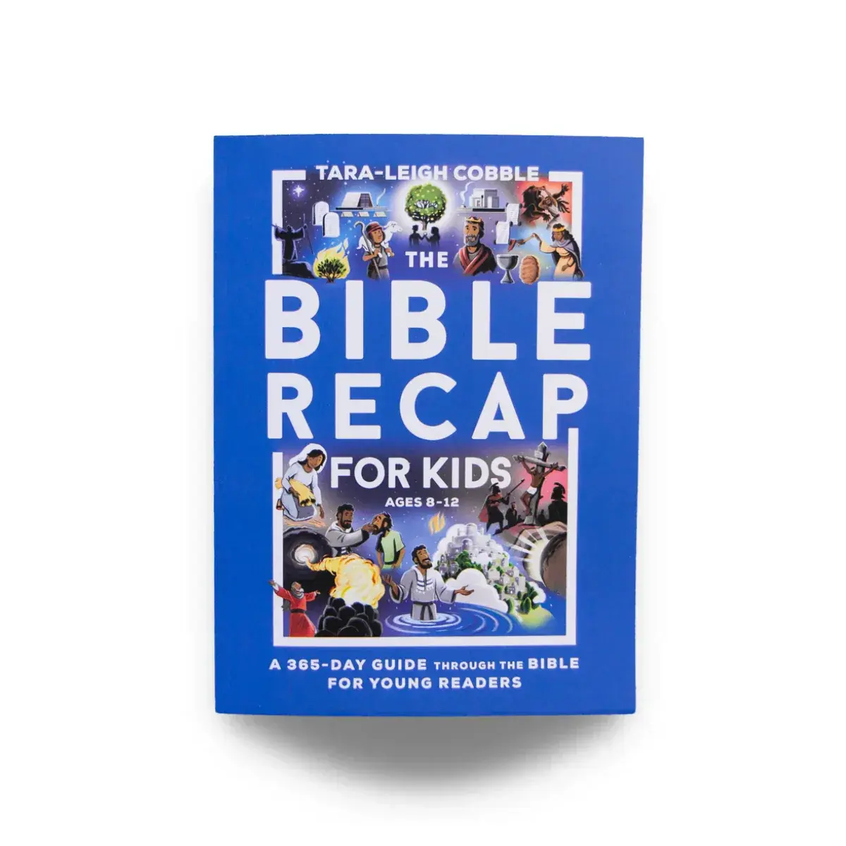 The Bible Recap for Kids resource.