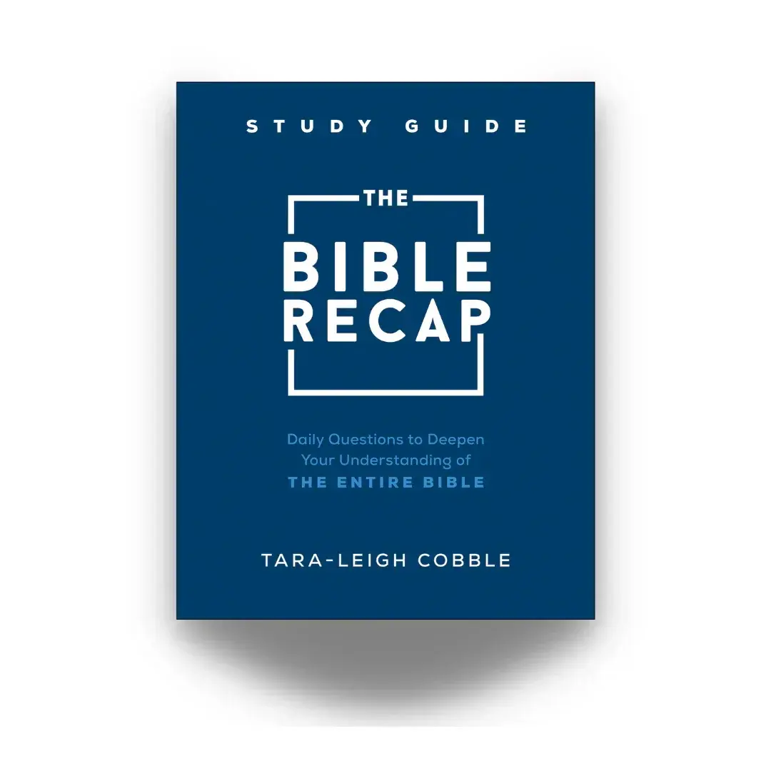 TBR Study Guide cover.